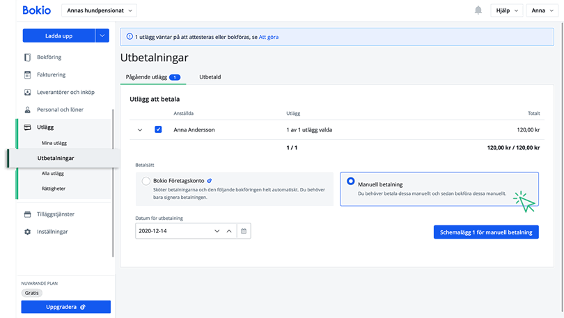 Manuell betalning av utlägg
