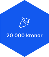 20 000 kr