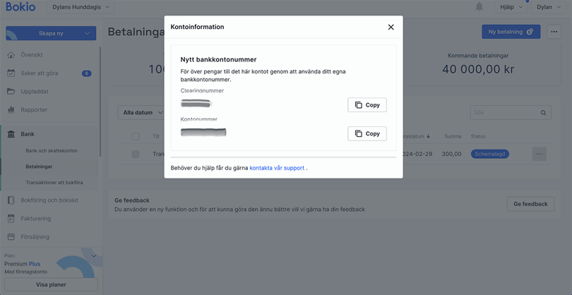 Här ser du dina kontouppgifter
