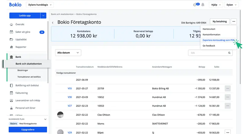 Exportera kontoutdrag som PDF